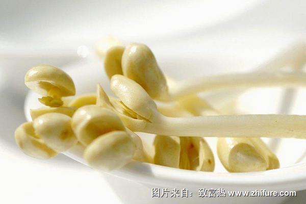 花生芽的功效與作用及禁忌