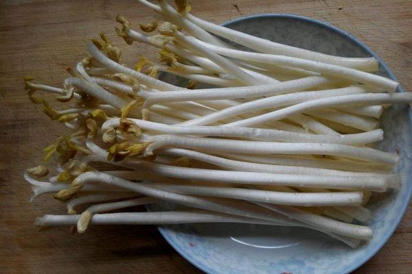 花生芽的功效與作用及禁忌