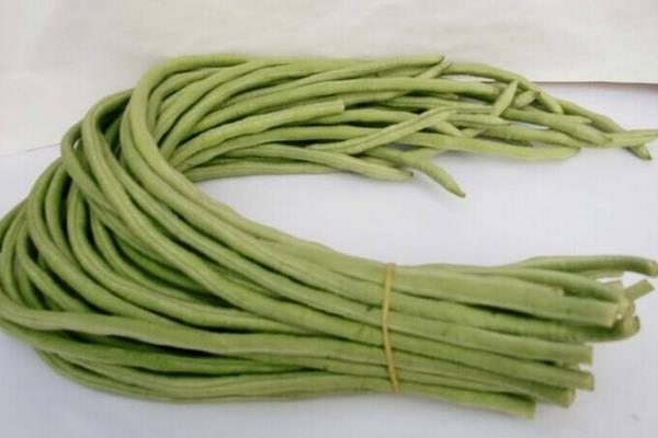 豇豆和豆角的區別是什么 豇豆是豆角嗎