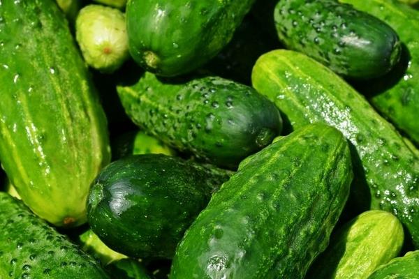 吃黃瓜有什么好處 吃黃瓜補什么