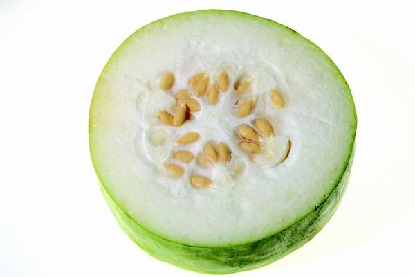 冬瓜仁功效與作用及禁忌