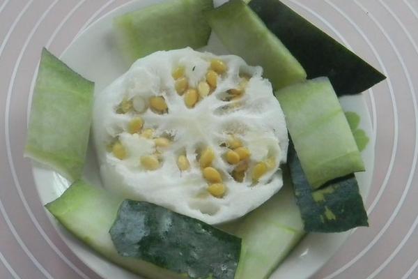 冬瓜仁功效與作用及禁忌