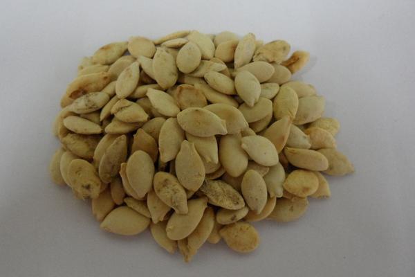 冬瓜仁功效與作用及禁忌