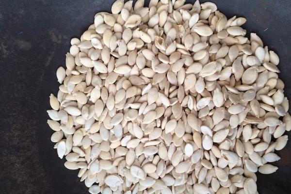 冬瓜仁功效與作用及禁忌