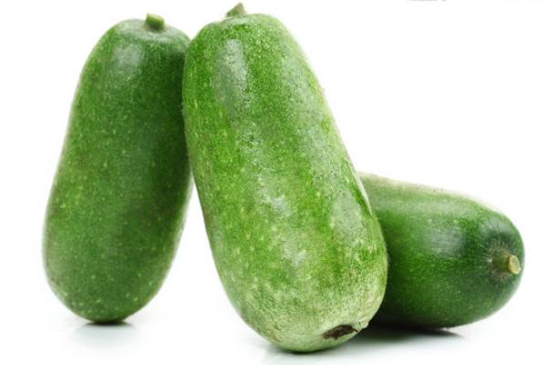 冬瓜市場價格多少錢一斤