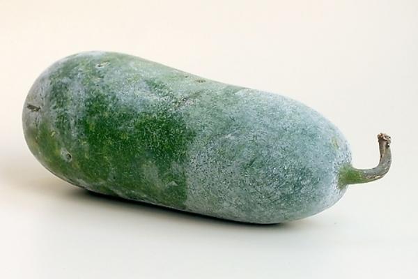 冬瓜市場價格多少錢一斤