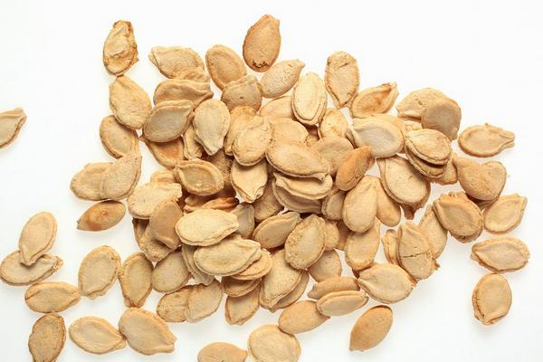 冬瓜種子市場價格多少錢一斤