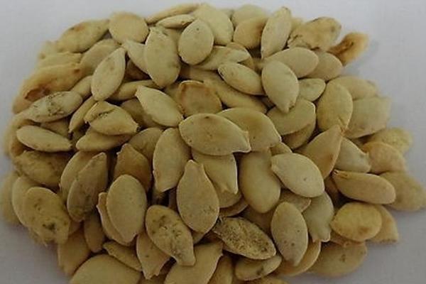 冬瓜種子市場價格多少錢一斤