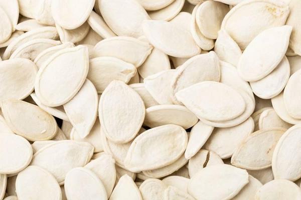 冬瓜種子市場價格多少錢一斤