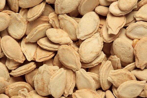 冬瓜種子市場價格多少錢一斤