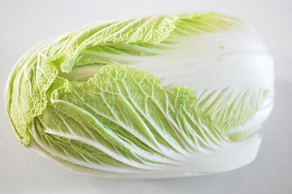 大白菜價格多少錢一斤