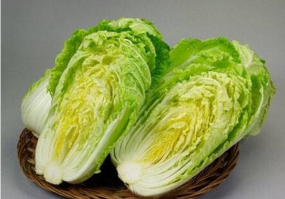 大白菜價格多少錢一斤