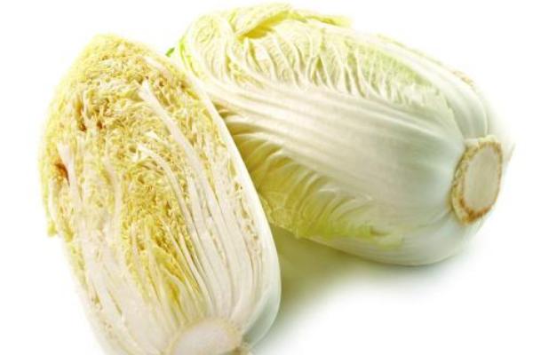 大白菜價格多少錢一斤