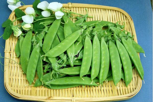 荷蘭豆在荷蘭叫什么 荷蘭豆和荷蘭國家有關系嗎