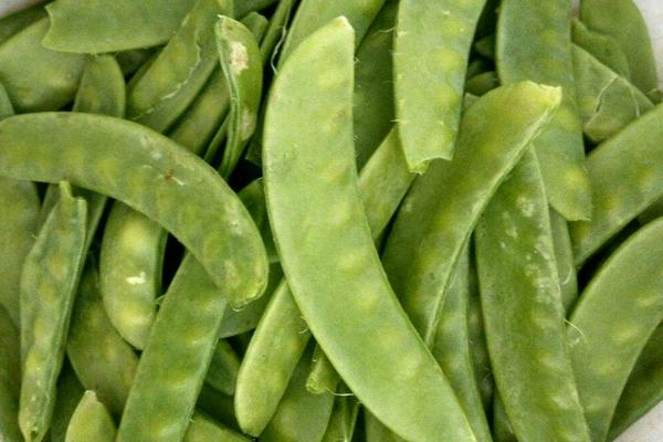 荷蘭豆在荷蘭叫什么 荷蘭豆和荷蘭國家有關系嗎