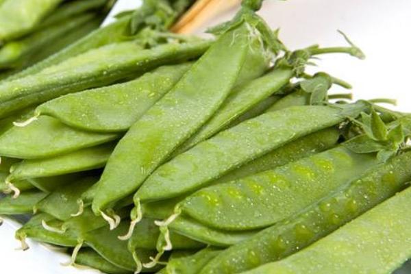 荷蘭豆價格多少錢一斤