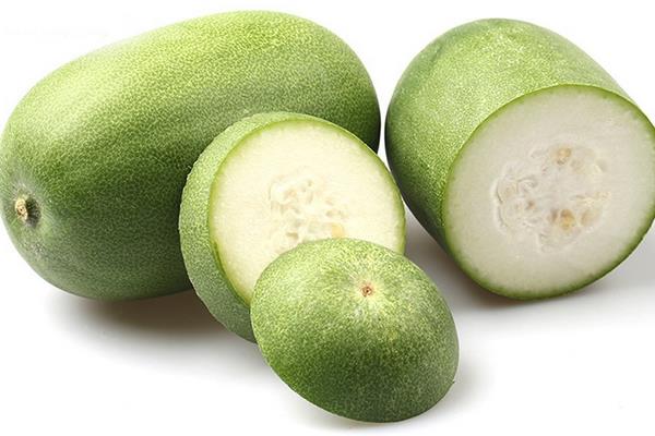 冬瓜皮的作用與功效及禁忌