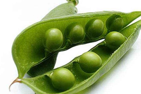 荷蘭豆種子價(jià)格多少錢一斤