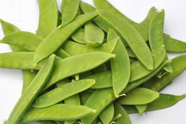 荷蘭豆功效與作用及禁忌 荷蘭豆的營(yíng)養(yǎng)價(jià)值