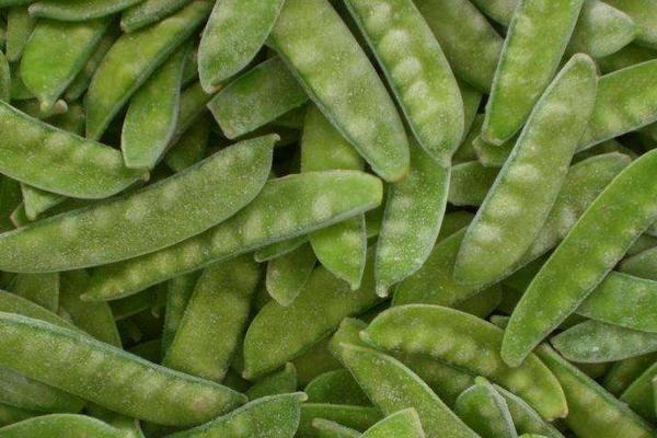 荷蘭豆功效與作用及禁忌 荷蘭豆的營(yíng)養(yǎng)價(jià)值