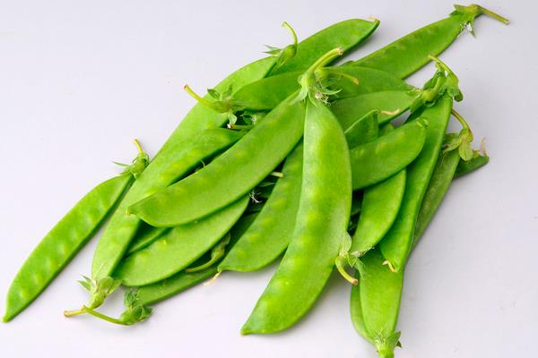 荷蘭豆圖片大全