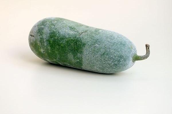 冬瓜功效與作用及禁忌 冬瓜營養價值