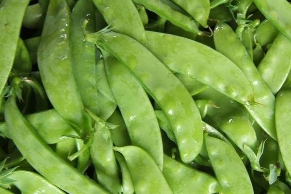 荷蘭豆價(jià)格多少錢一斤