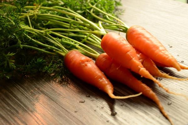 生胡蘿卜能吃嗎 胡蘿卜吃生的有什么壞處