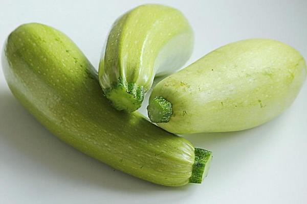 西葫蘆是角瓜嗎 角瓜和西葫蘆的區別是什么