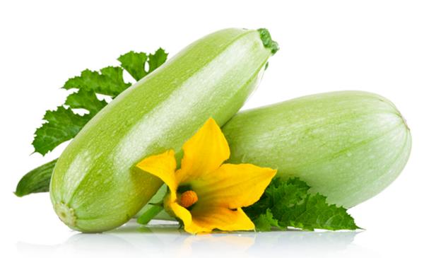 筍瓜和西葫蘆區別是什么