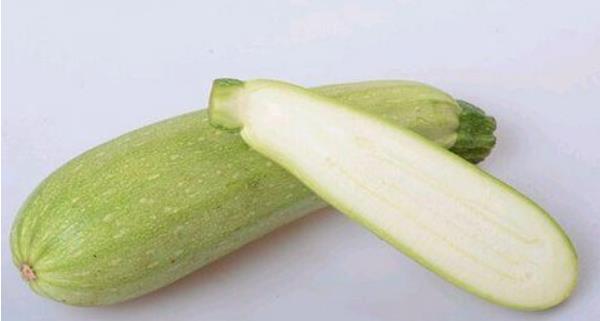 筍瓜和西葫蘆區(qū)別是什么
