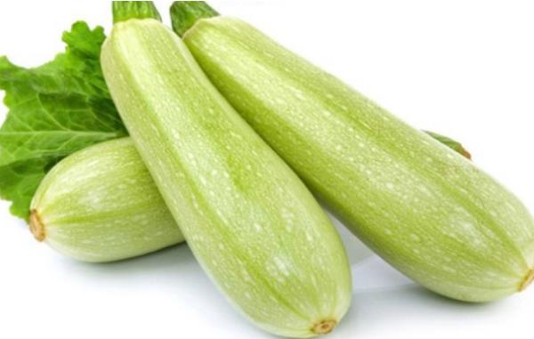 孕婦能吃西葫蘆嗎