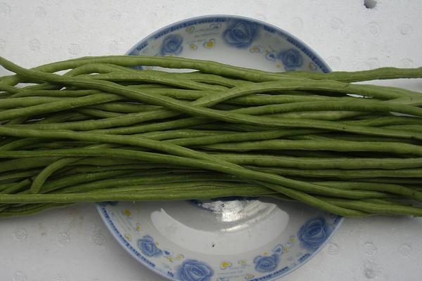 夢見豆角代表什么意思