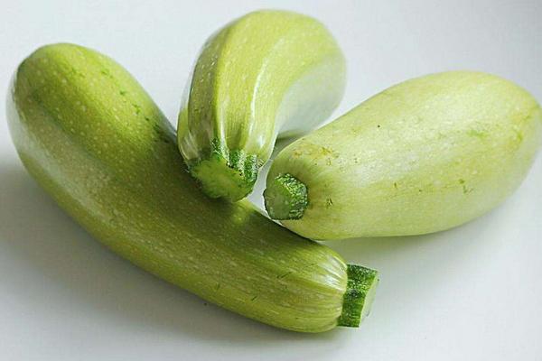 西葫蘆炒出來為什么苦