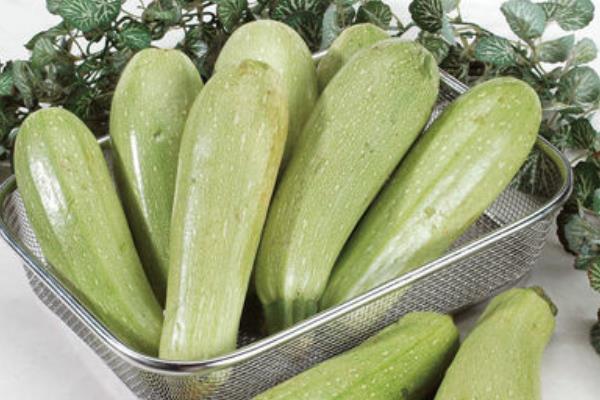 西葫蘆怎么切片 西葫蘆和什么炒