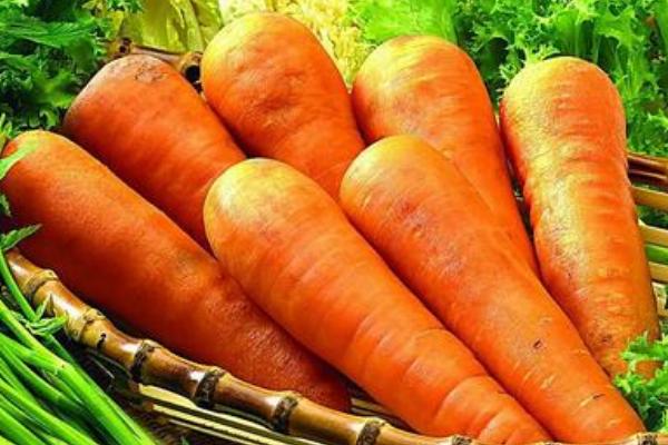 什么含胡蘿卜素最多 胡蘿卜素有什么作用