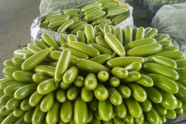 西葫蘆是發物嗎