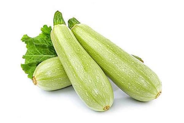 西葫蘆品種有哪些