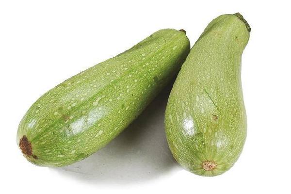 西葫蘆品種有哪些