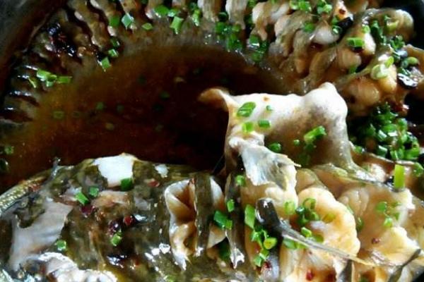 鯰魚的家常做法大全 鯰魚怎么做好吃