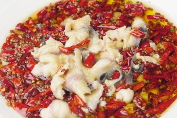 鯰魚的家常做法大全 鯰魚怎么做好吃