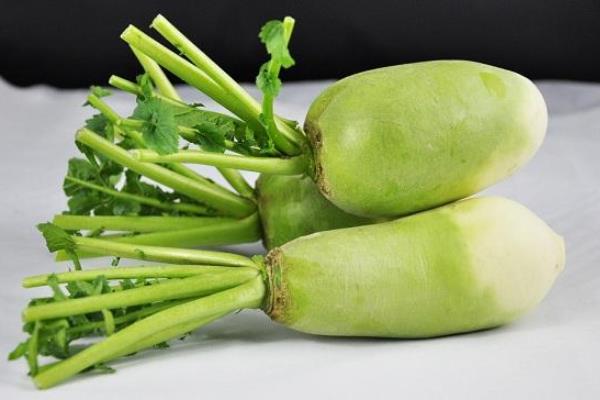 青蘿卜市場價格多少錢一斤