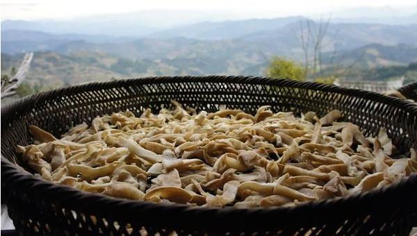 蘿卜干怎么做 蘿卜干怎么曬怎么腌