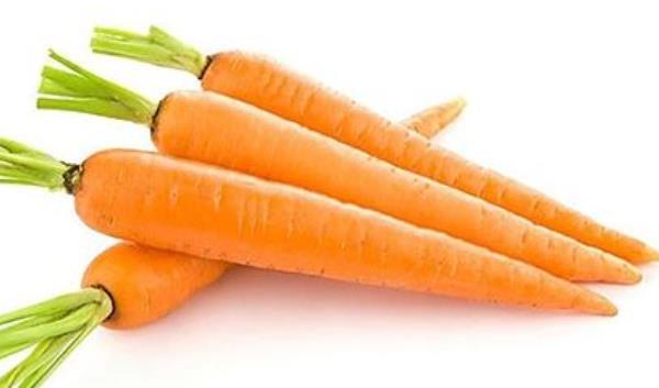 胡蘿卜長芽能吃嗎 胡蘿卜怎么保存