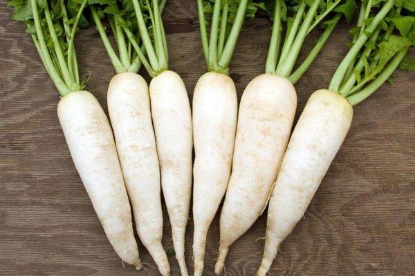 胡蘿卜和白蘿卜的區(qū)別是什么