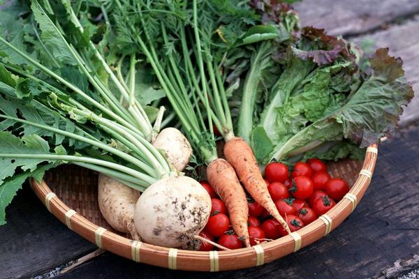 胡蘿卜和白蘿卜的區(qū)別是什么