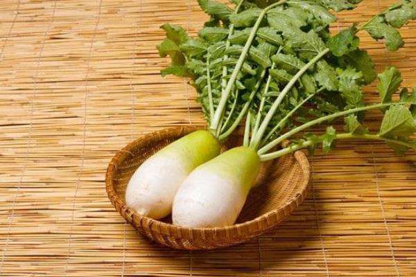 蘿卜怎么做好吃 蘿卜做法大全