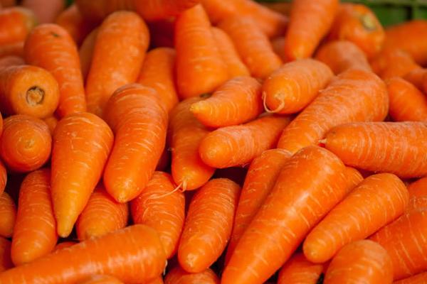 胡蘿卜圖片大全