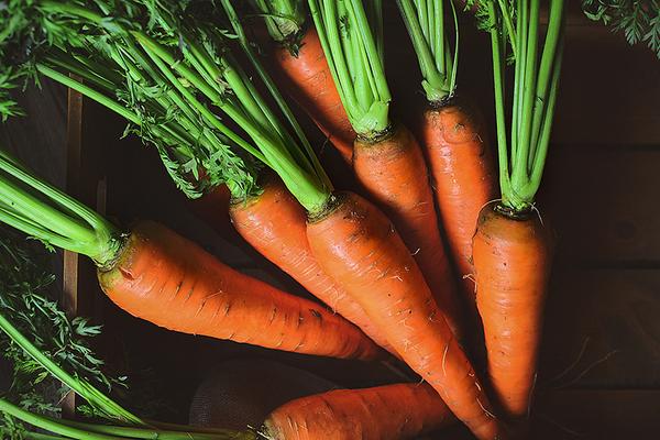 胡蘿卜圖片大全