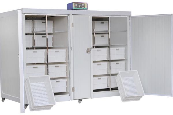 豆芽機市場價格多少錢一臺